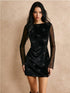 Long Sleeve Mini Dress